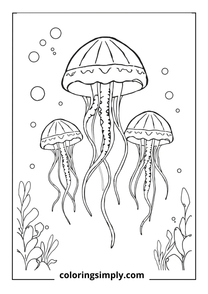 "Dancing Jellyfish Friends" - Three jellyfish of different sizes floating gracefully