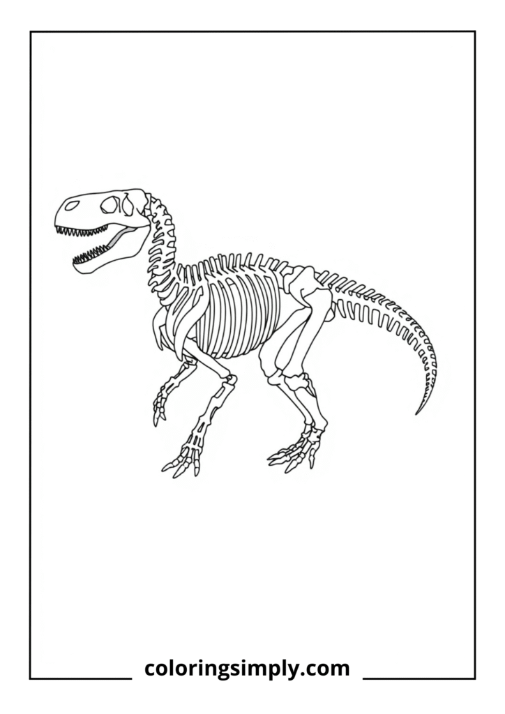 Museum Display: Complete Dinosaur Skeleton