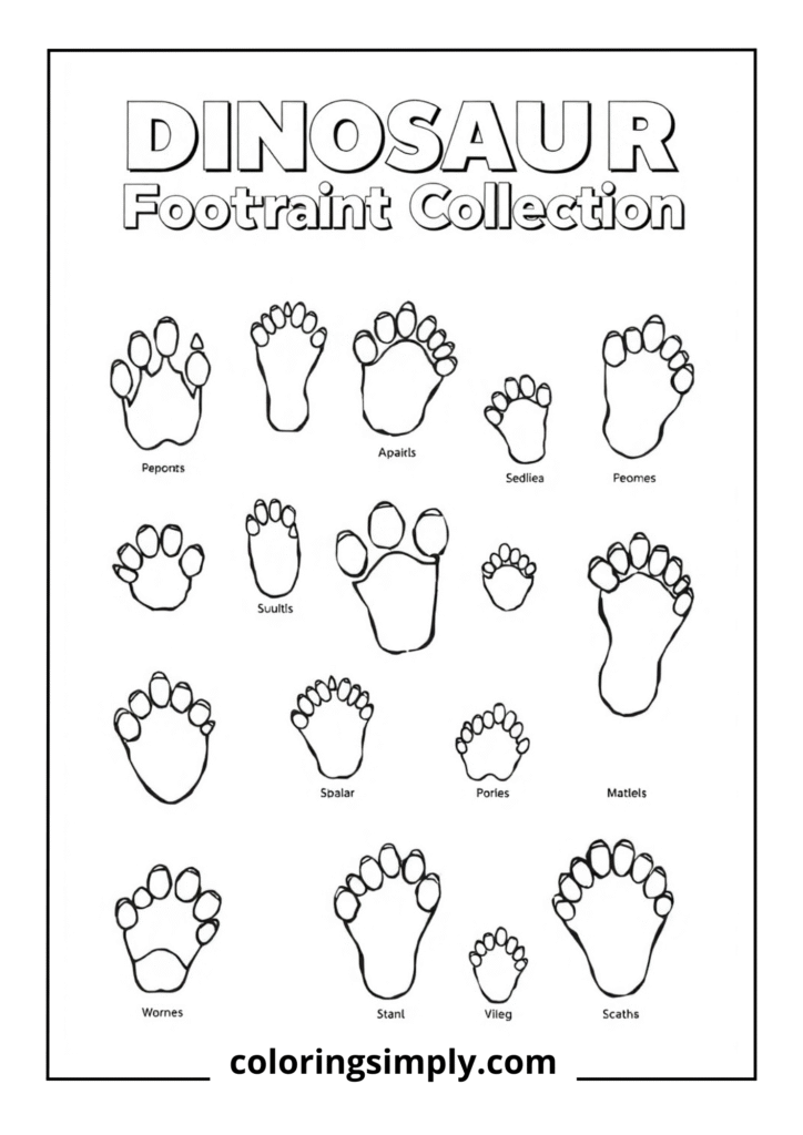 Prehistoric Footprints Collection