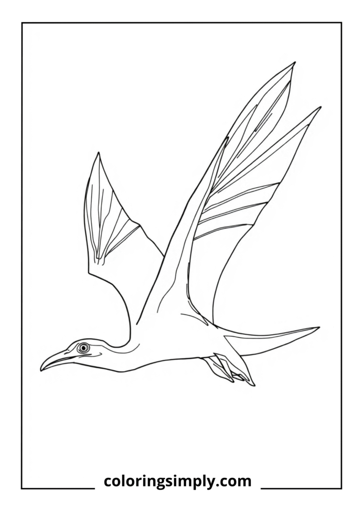 Soaring Pteranodon: Wings of the Mesozoic