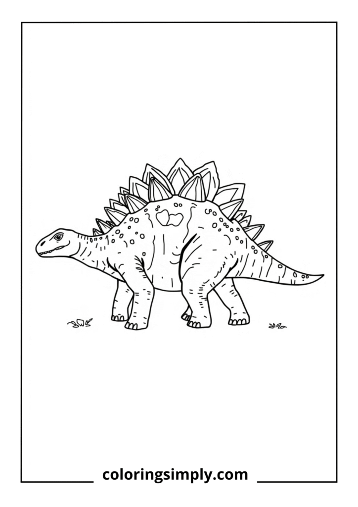 Spiky Stegosaurus Profile