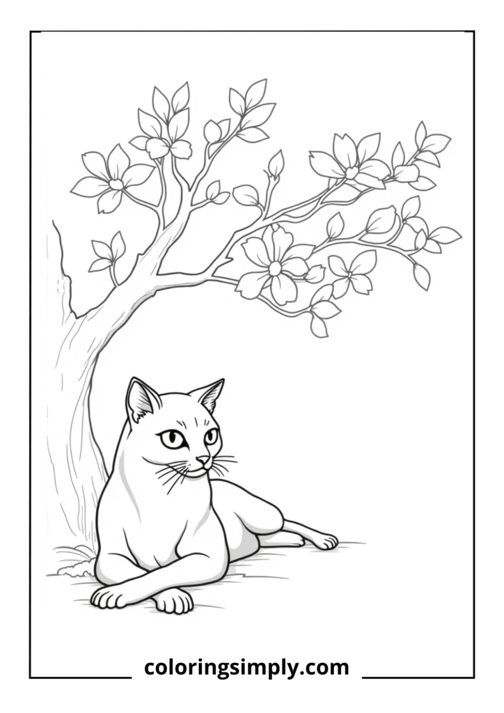 Stretching Under Cherry Blossoms