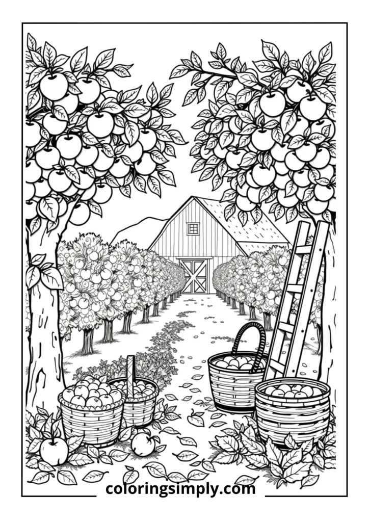 Apple Orchard Harvest Scene