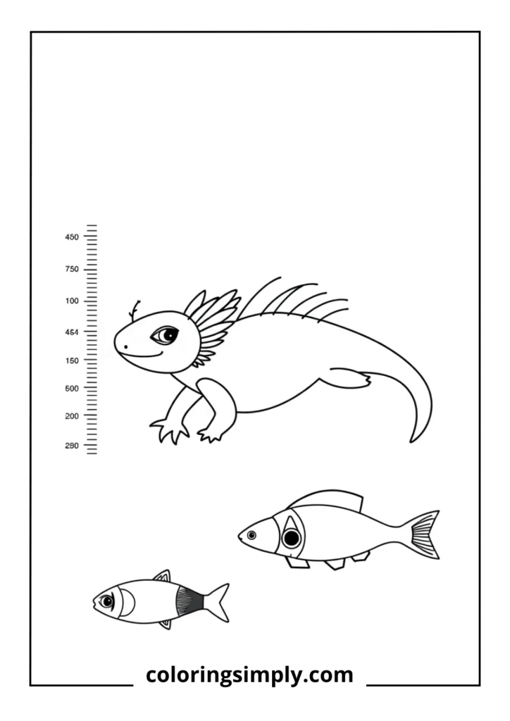Axolotl Size Comparison