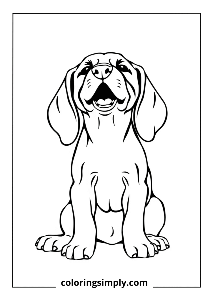 Beagle Puppy Howling