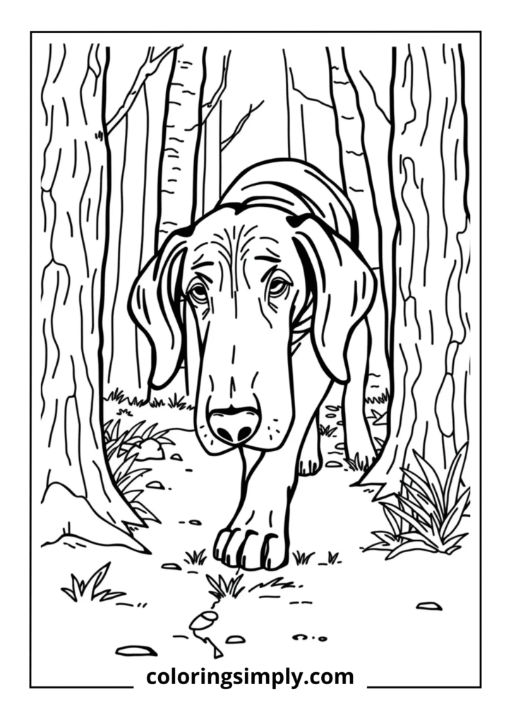 Bloodhound Tracking Scene