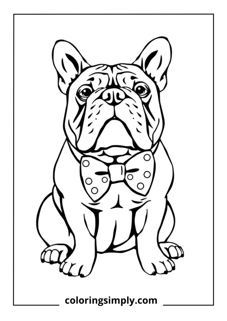 Bulldog in Bowtie