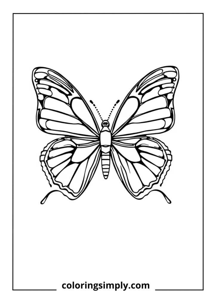 Butterfly Camouflage Pattern