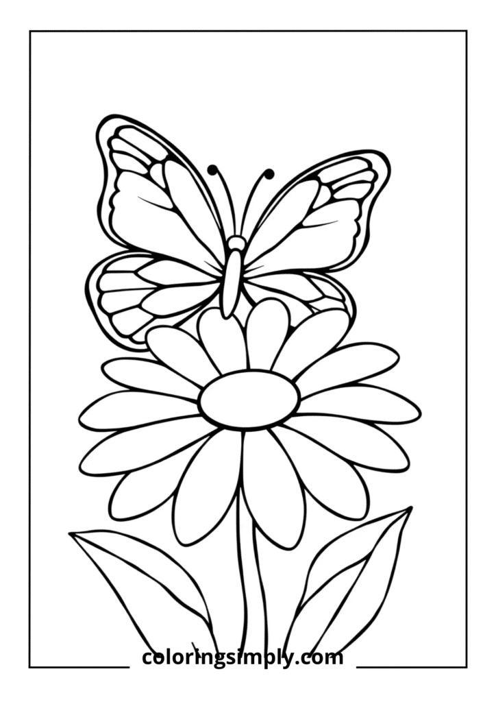 Butterfly on a Flower