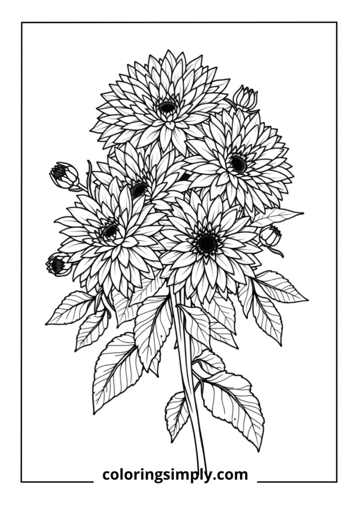 Chrysanthemum Cascade