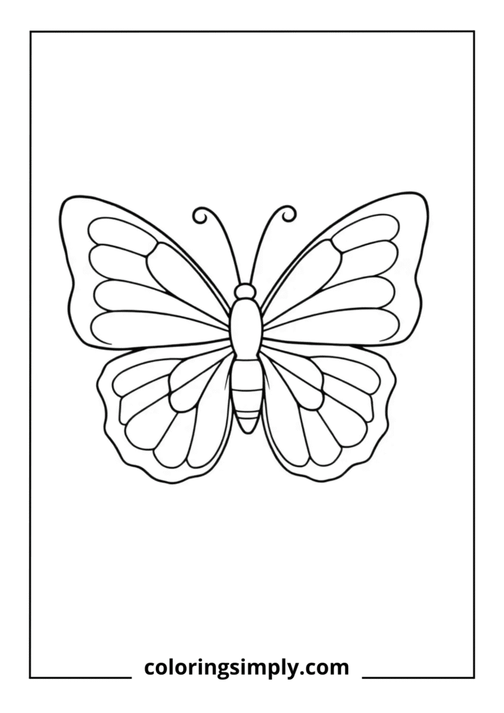 Chubby Garden Butterfly
