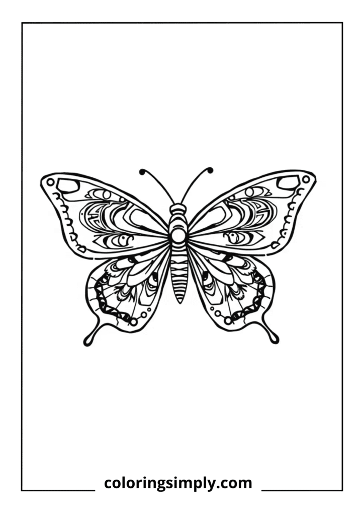 Cultural Pattern Butterfly