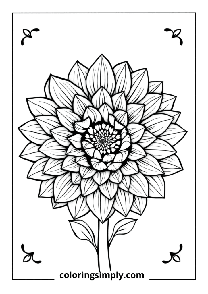 Dahlia Spiral Fantasy