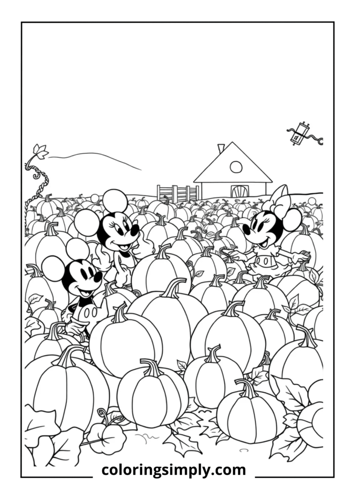 Disney Pumpkin Patch Adventure
