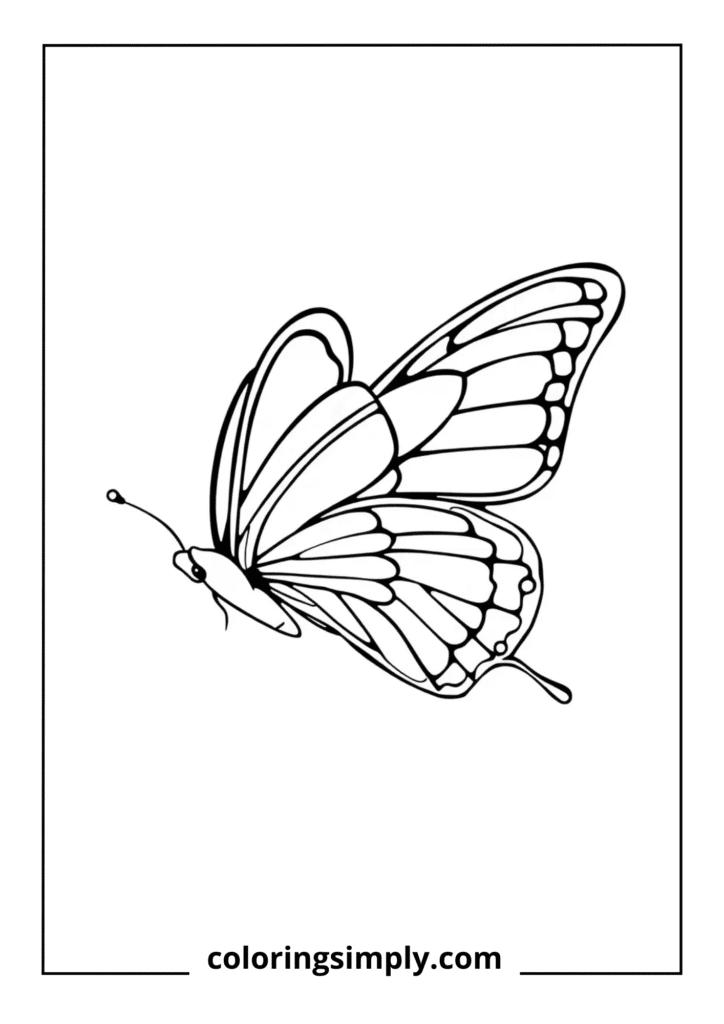 Flying Butterfly Side View