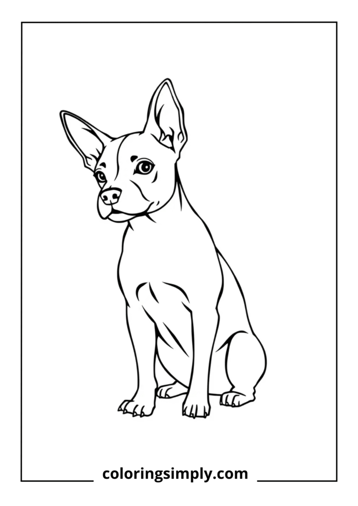 French Bulldog Puppy