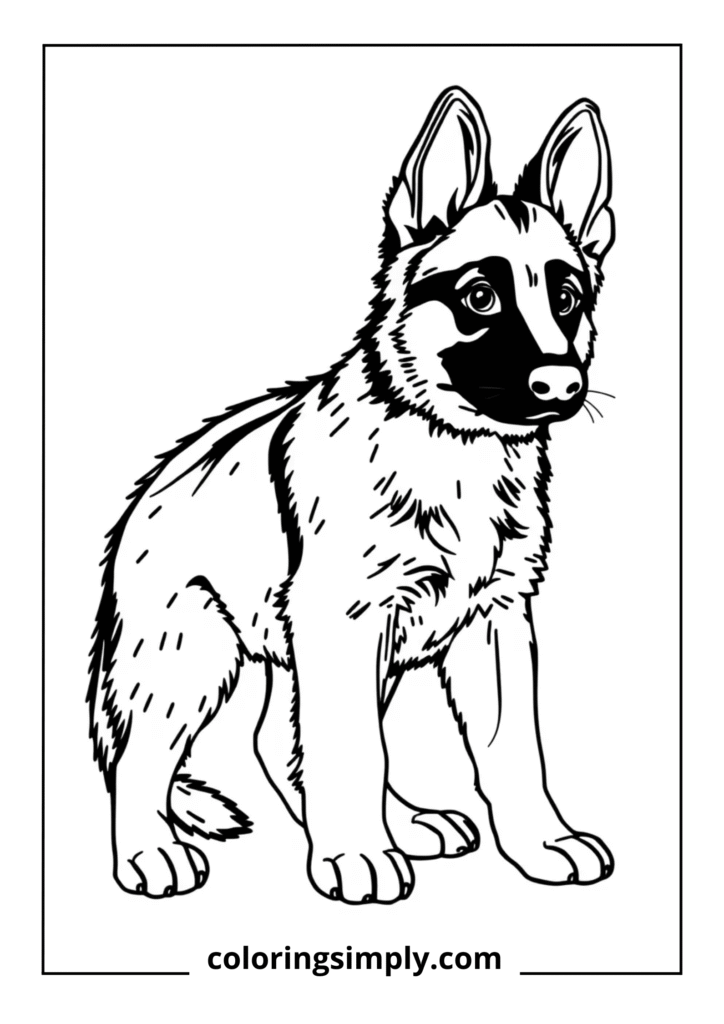 German Shepherd Puppy Alert