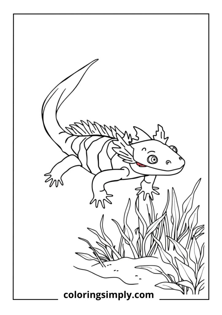 Golden Axolotl Variant