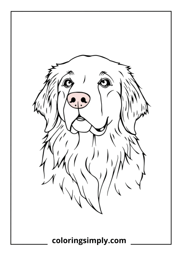 Golden Retriever Portrait