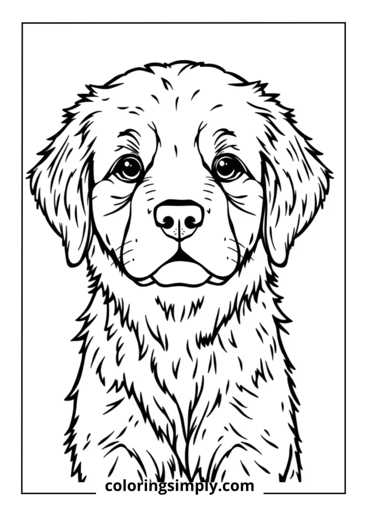 Golden Sweetie" - Golden Retriever Puppy Portrait