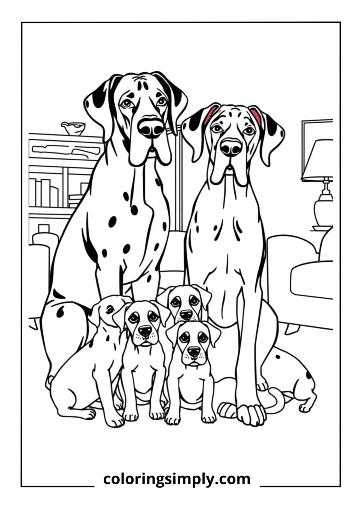 Great Dane Family Portrait
