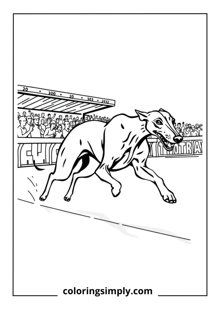 Greyhound Racing Scene