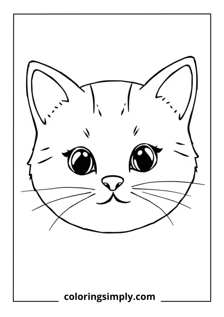 Happy Kitten Face