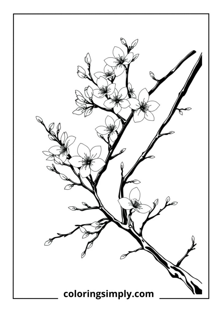 Japanese Ink-Inspired Cherry Blossoms