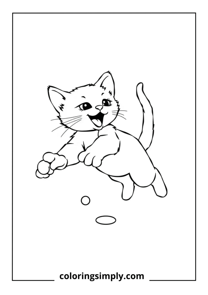 Kitten Chasing Laser Dot
