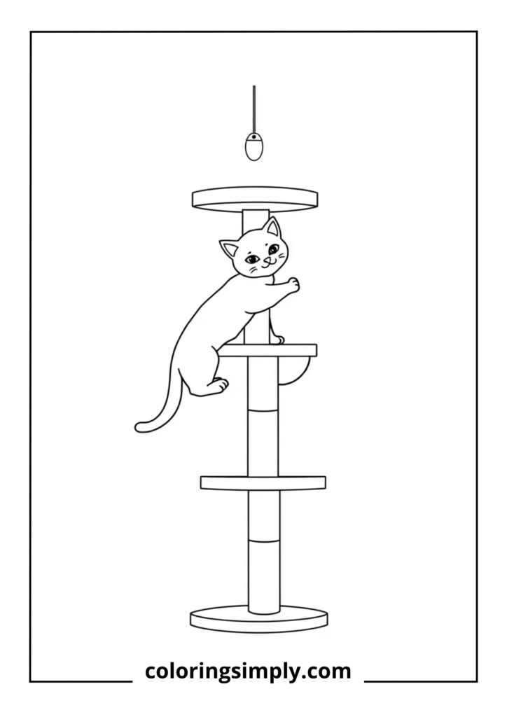 Kitten Climbing Cat Tree