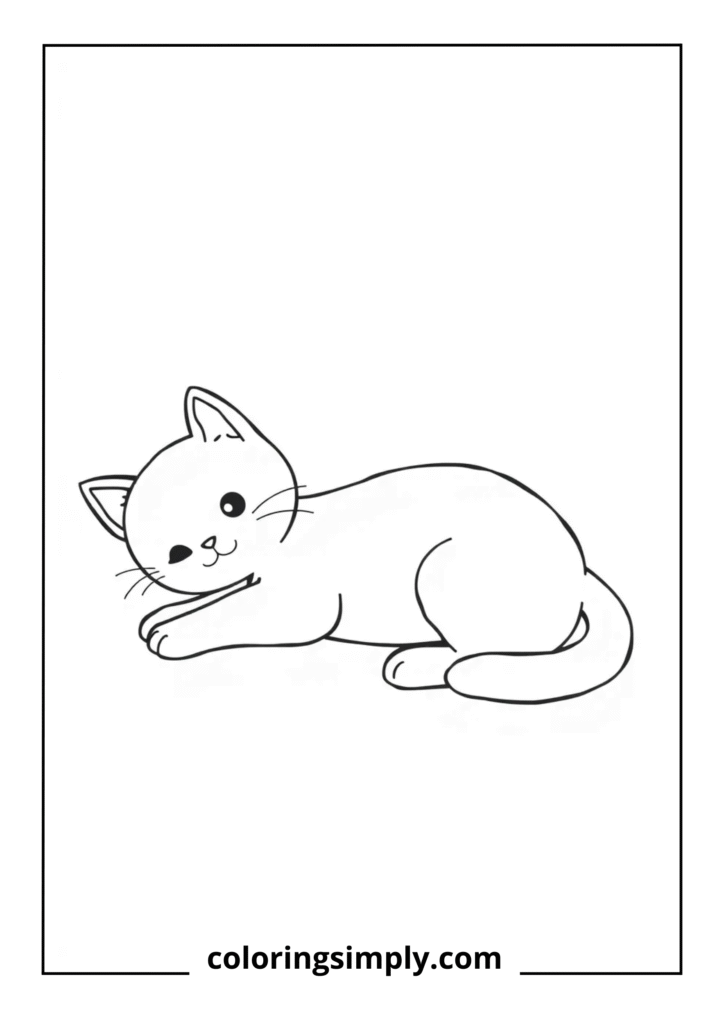 Kitten Lying Down