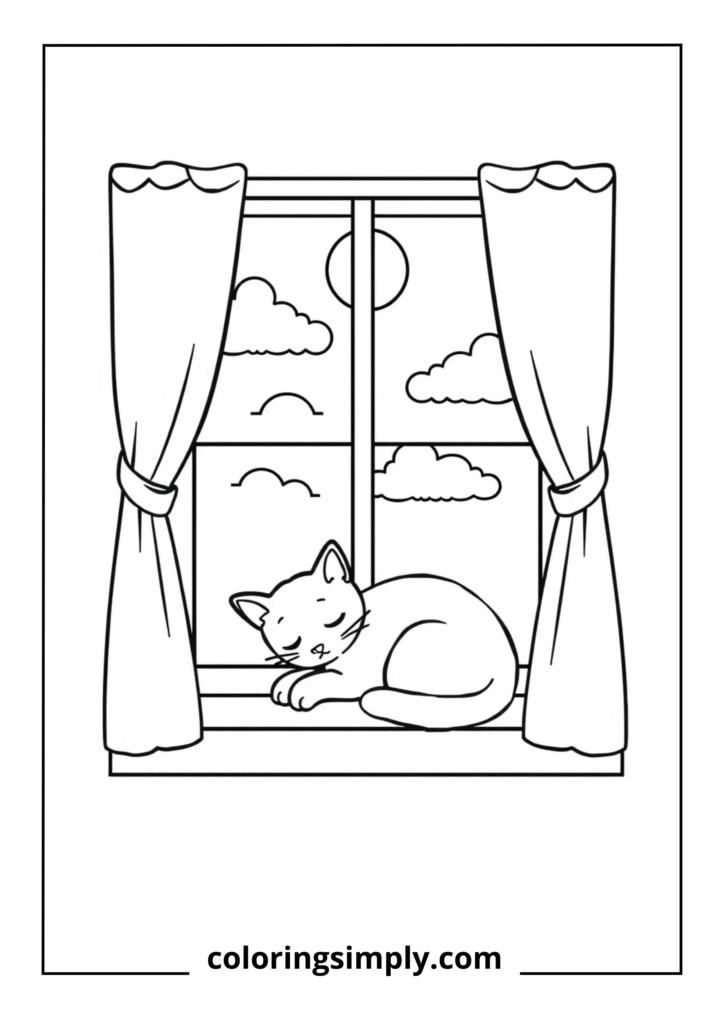 Kitten Napping in Sunny Window