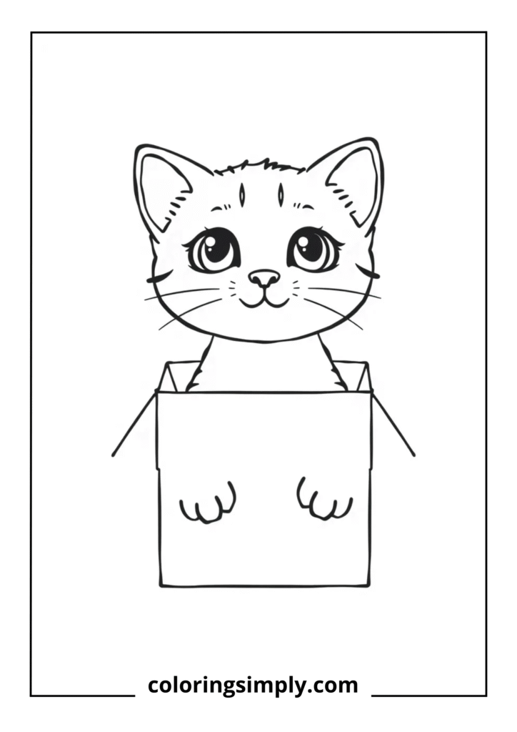 Kitten Peeking from Box