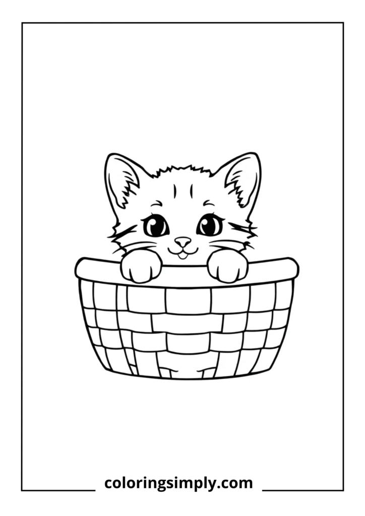 Kitten in Basket