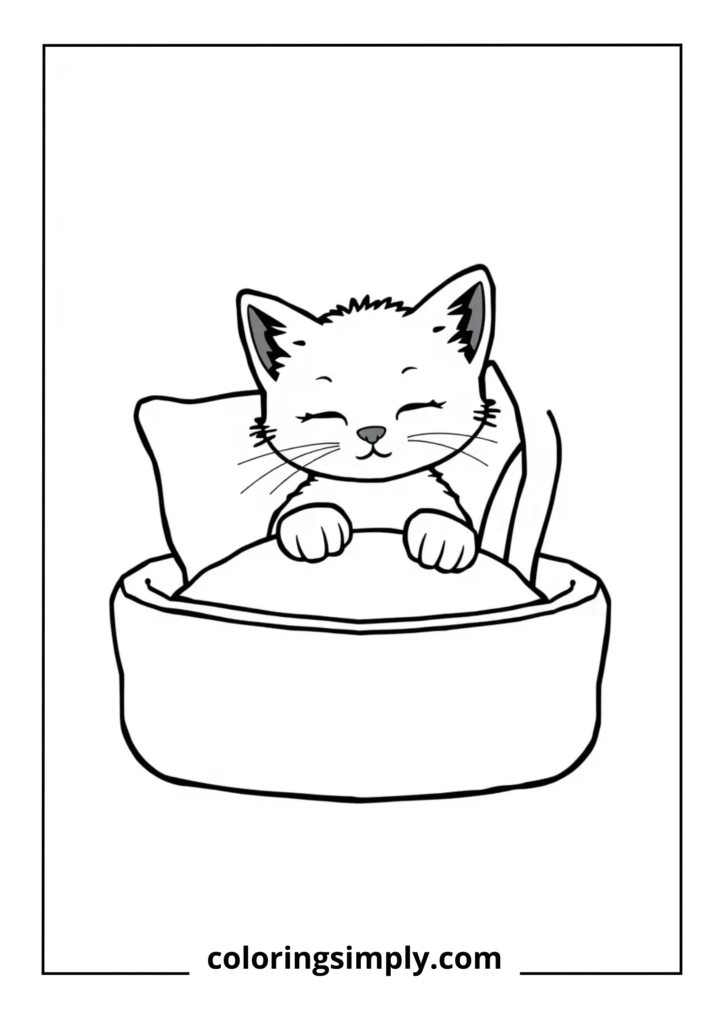 Kitten in Cozy Bed