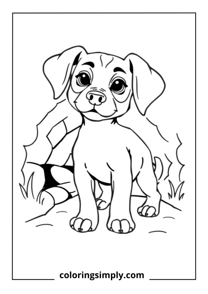 Little Sausage" - Dachshund Puppy Full Body
