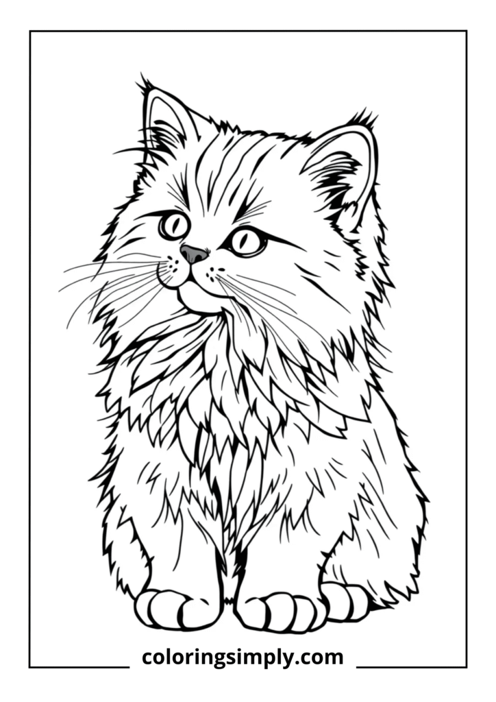 Longhair Kitten with Flowing Coat