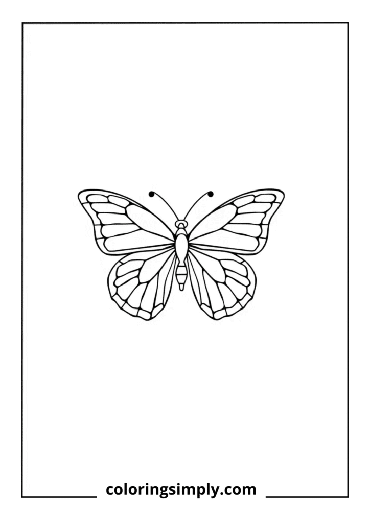 Minimalist Modern Butterfly