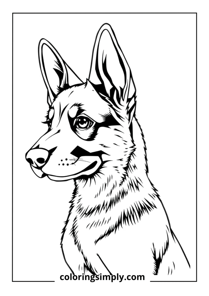 Noble Guardian" - German Shepherd Puppy Profile
