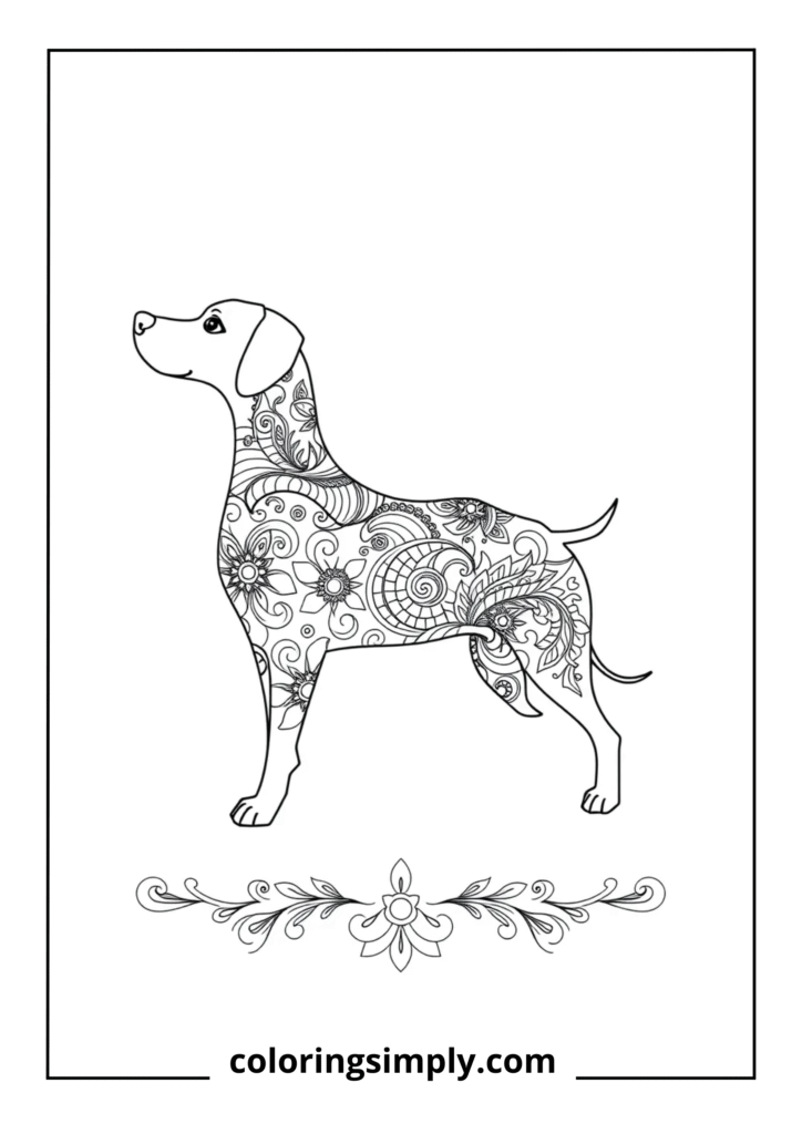Paisley Dog Design