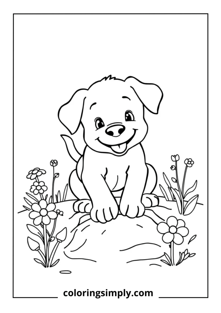 Puppy Digging in Garden