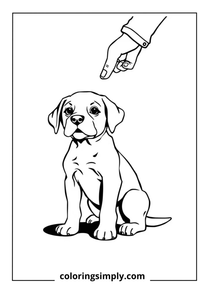 Puppy Learning Commands