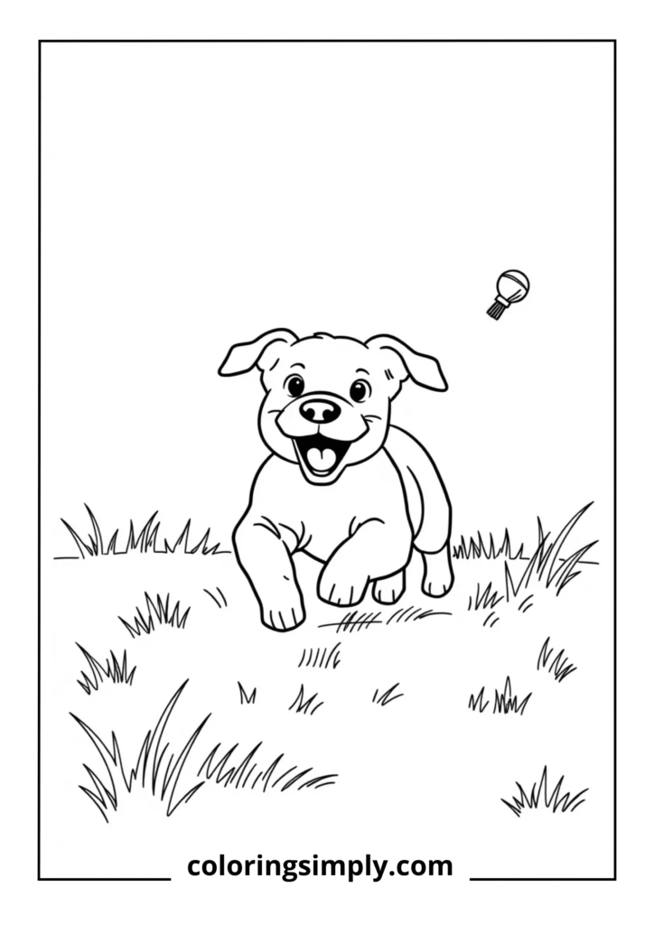 Puppy Learning to Fetch