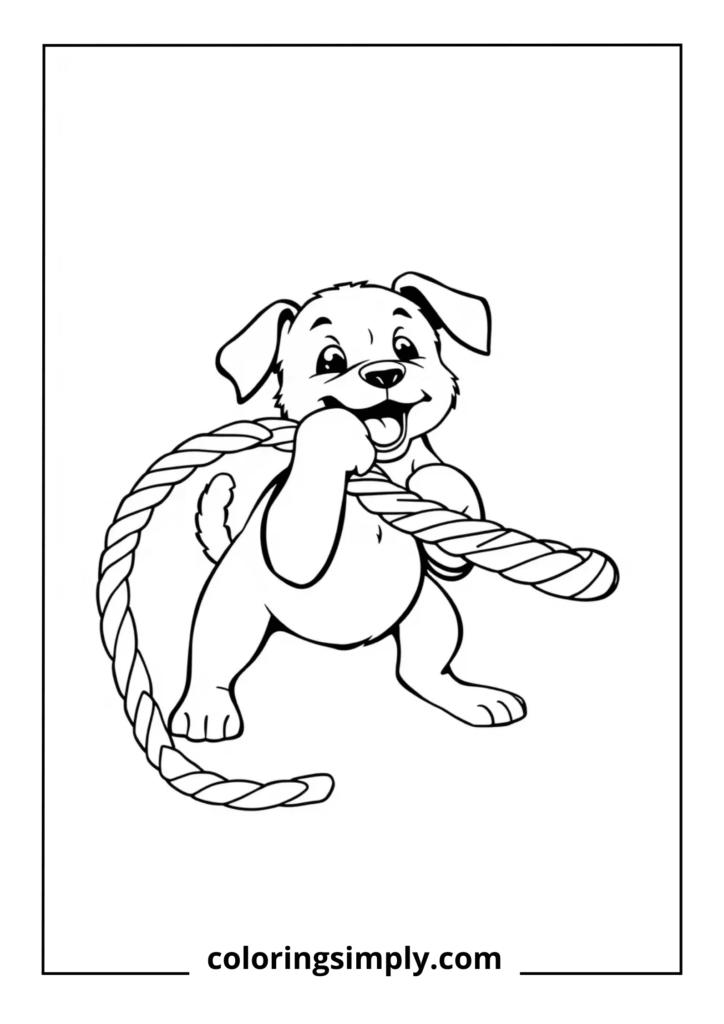 Puppy Playing with Rope Toy