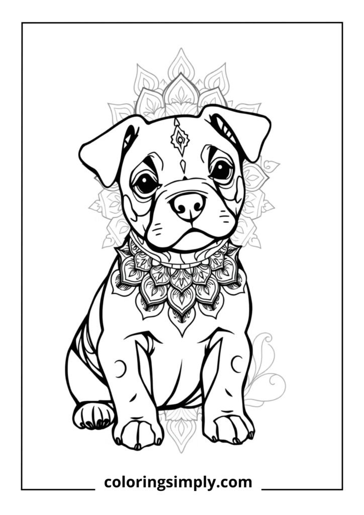 Puppy with Mandala Collar