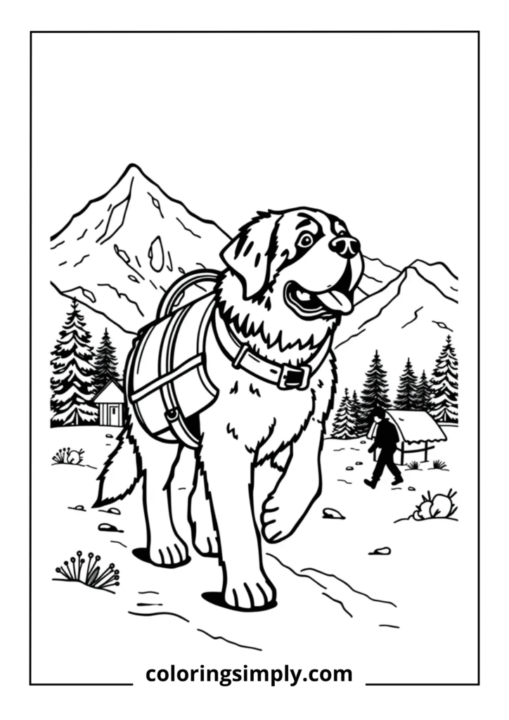 Saint Bernard Mountain Rescue