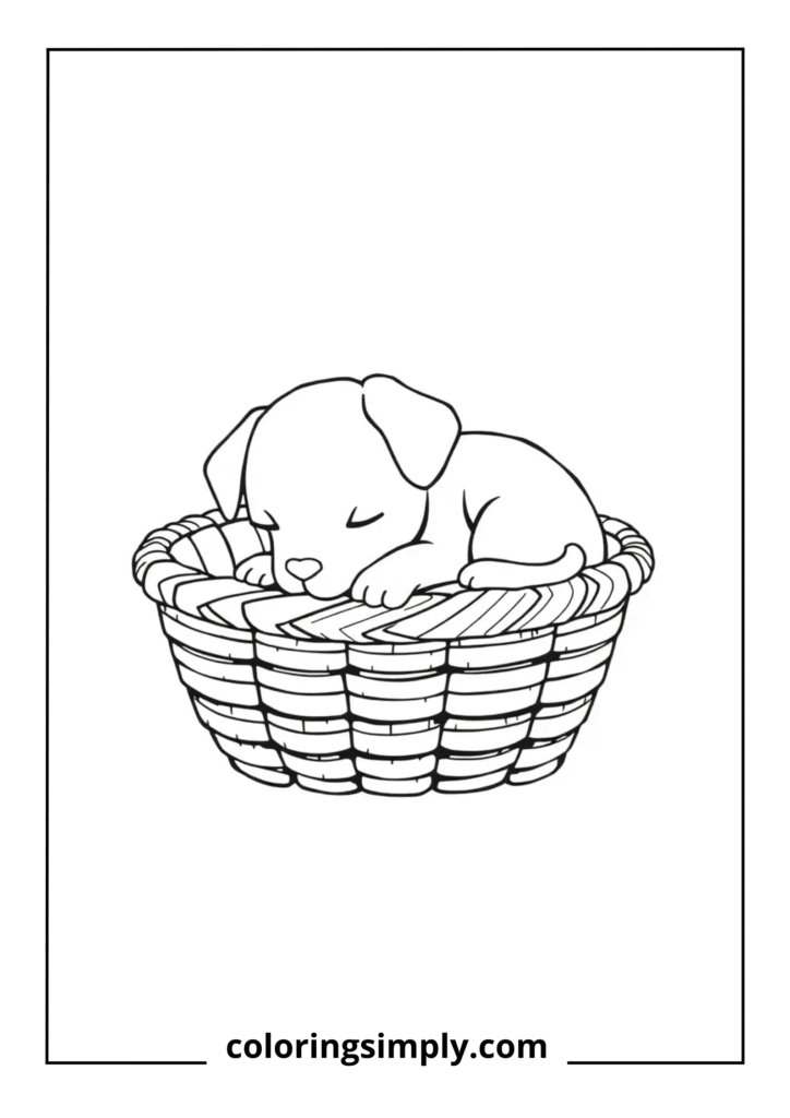Sleeping Puppy in Basket (1)