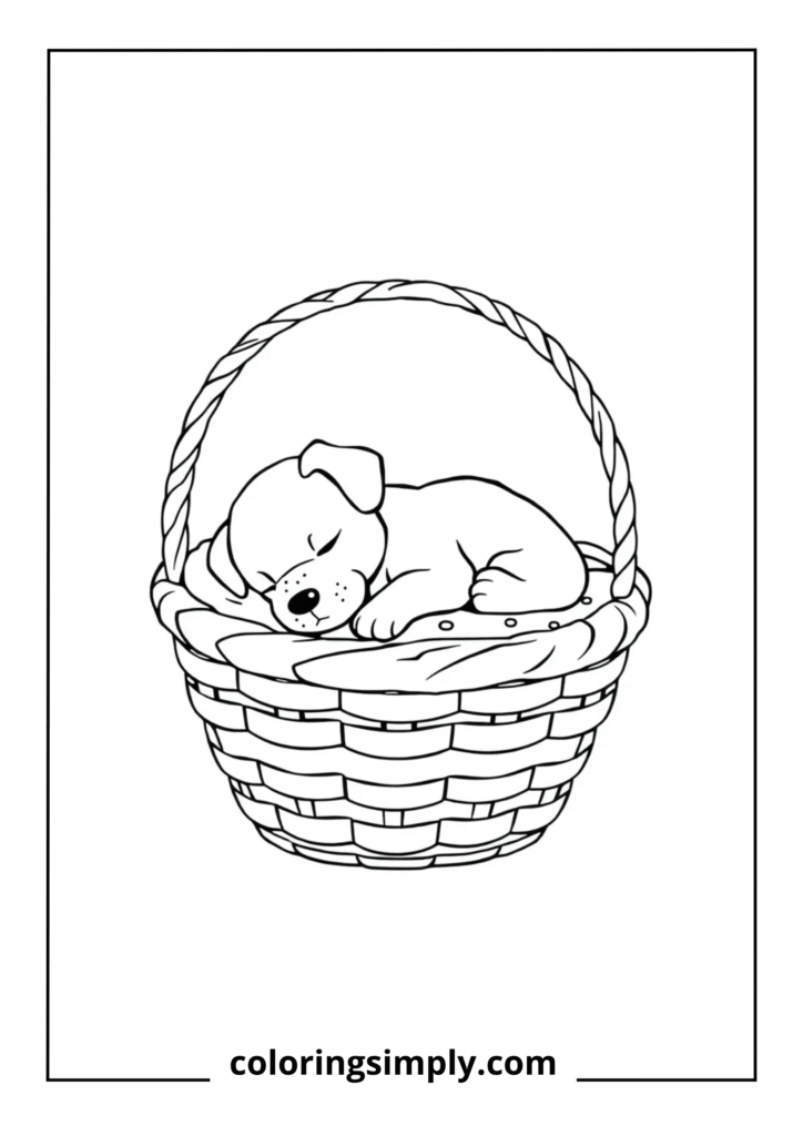 Sleeping Puppy in Basket