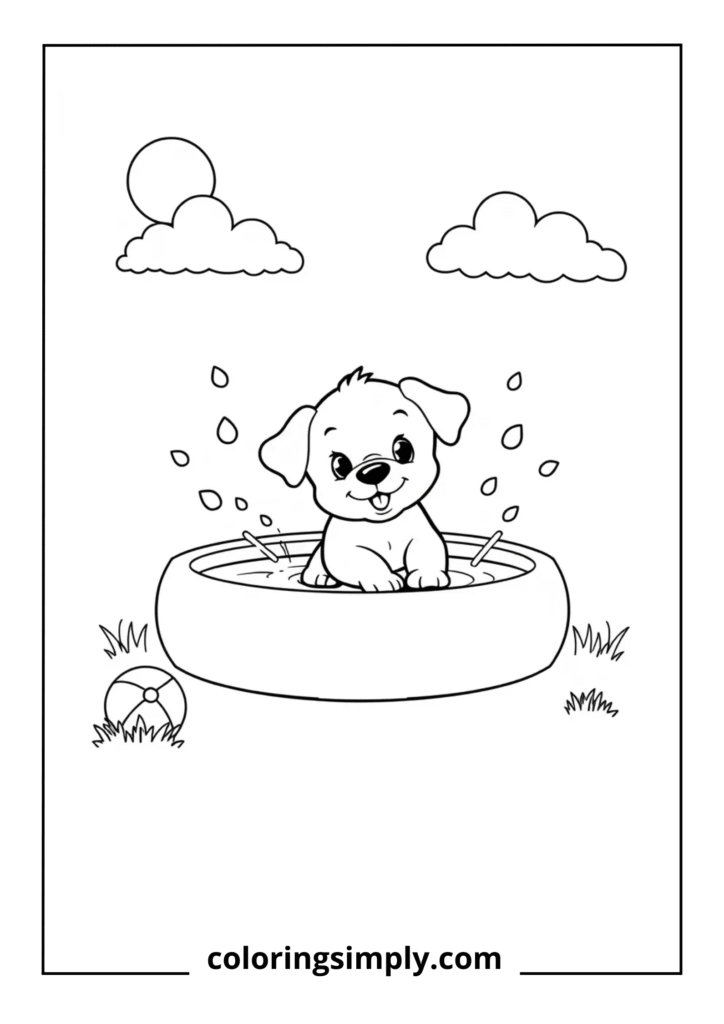 Summer Puppy Pool Party