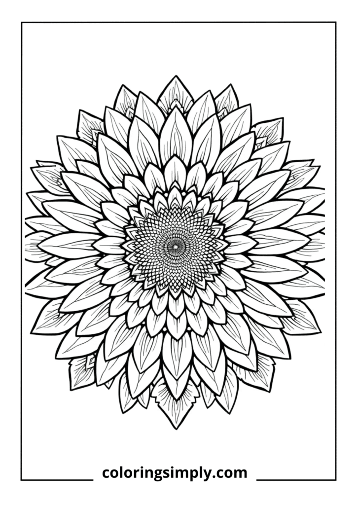 Sunflower Mandala Burst